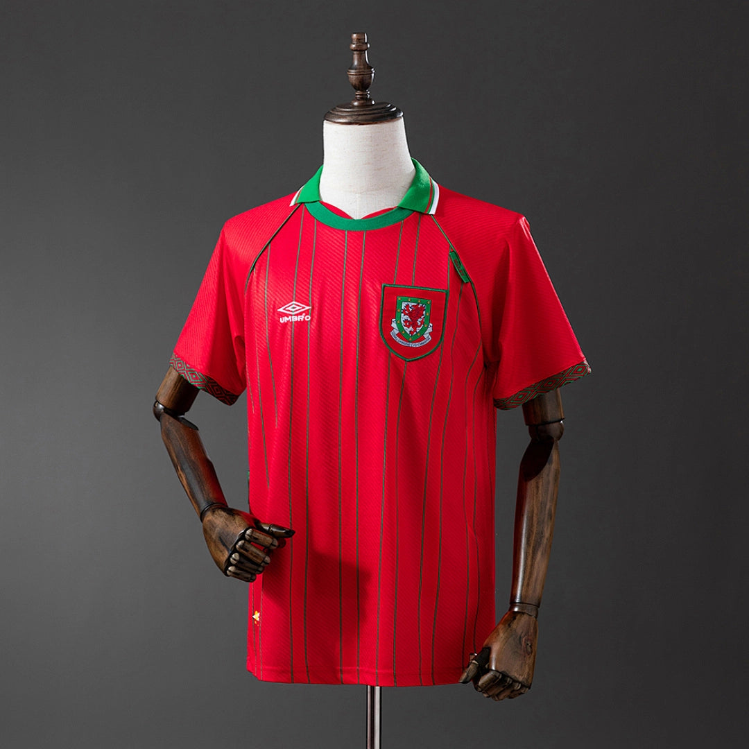 Camisola Principal do País de Gales 1994 (Retro)